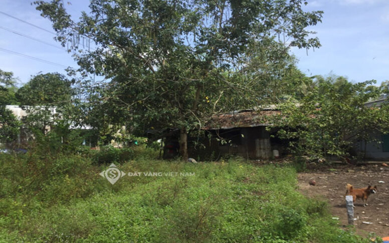 image slide